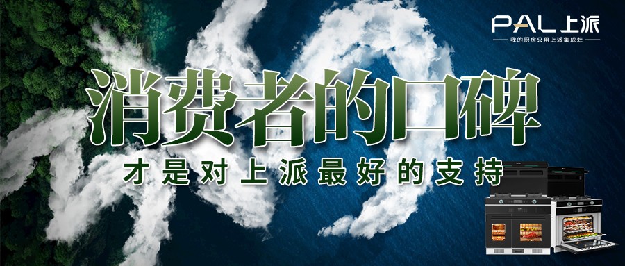 消费者的口碑，才是对上派最好的支持