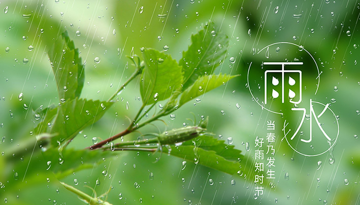 雨水，是时间的样子
