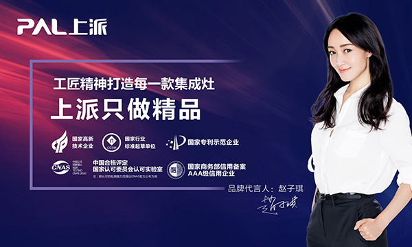 上派集成灶引领2017中国(嵊州)电机?厨具展览会