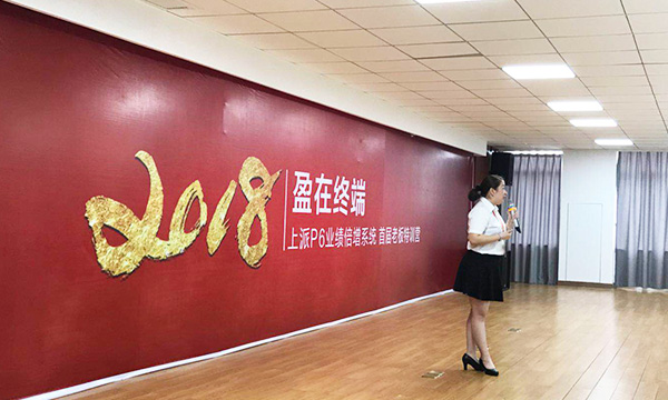 抢占先机，聚势共赢｜2018盈在终端上派P6首届老板特训营火热进行中