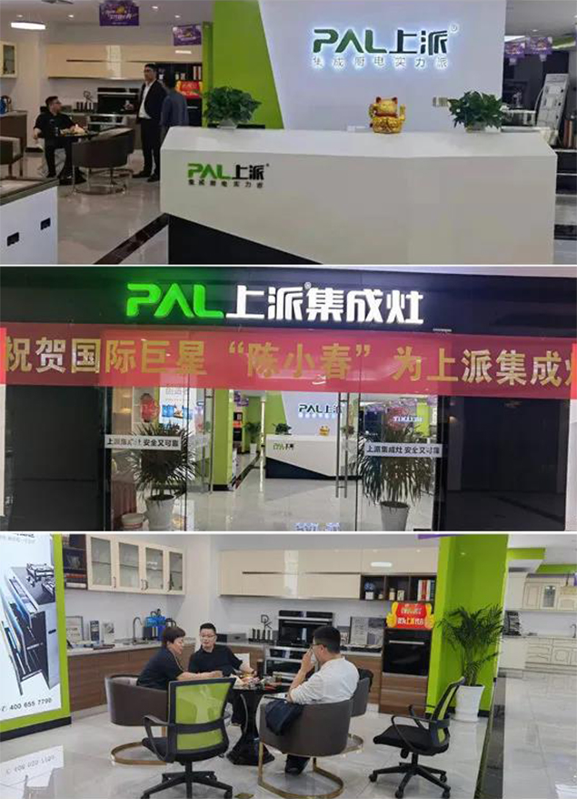 上派集成灶，集成灶品牌，集成灶十大品牌，集成环保灶十大品牌，集成灶10大品牌，灶，集成灶十大排行榜，集成灶加盟代理